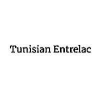 Tunisian Entrelac Blog
