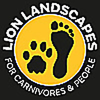 Lion Landscapes Blog