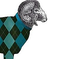 Tasmanian Wool Centre