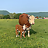 Corner Market Farm to Table Blog