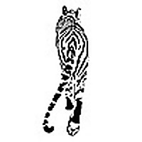 For Tigers Blog