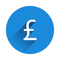 The Digital Dividend
