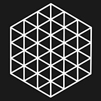 High Dimensional Health Data