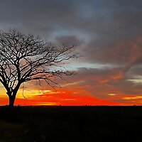 Goodness of God in the land of Mexico