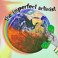 The Imperfect Activist