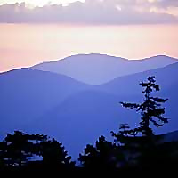 White Mountains Visitors Center Blog