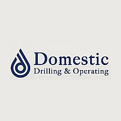 Domestic Operating Blog