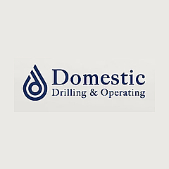 Domestic Operating Blog