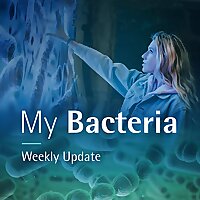 My Bacteria - Your Microbiome. Your Health.