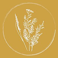 Artemisia Farm & Vineyard Newsletter