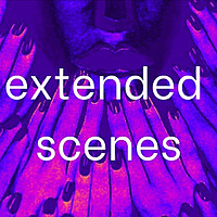 Extended Scenes