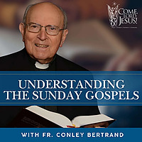 Understanding the Sunday Gospels