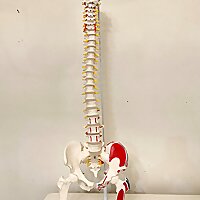 Stories with a Physical Therapist