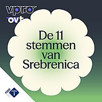 De 11 stemmen van Srebrenica