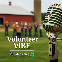 4-H Volunteer Vibe