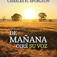 Luz de la Ma&ntilde;ana