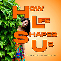 How Life Shapes Us
