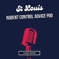 St Louis Rodent Control Advice Pod