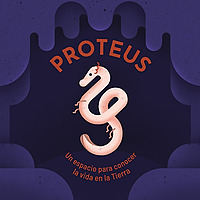 Proteus