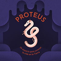 Proteus