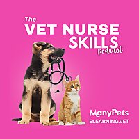 The Vet Nurse Skills Podcast