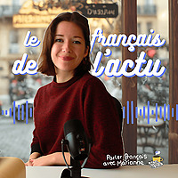Le fran&ccedil;ais de l'actu
