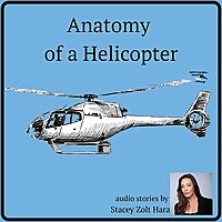 Anatomy of a Helicopter