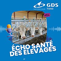&Eacute;cho sant&eacute; des &Eacute;levages