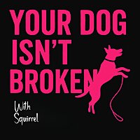Your Dog Isn't Broken