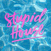 Stupid House