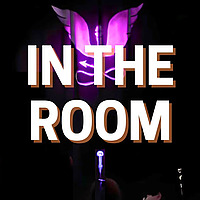 In The Room with Barry Ferns | Standup Comedy Podcast