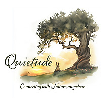 Quietude - Nature Connection and Forest Therapy