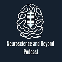 Neuroscience and Beyond