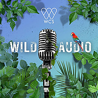 WCS Wild Audio