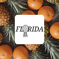 Florida Lifestyler Group