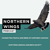 Northern Wings Connecting People and Birds of Northern Arizona
