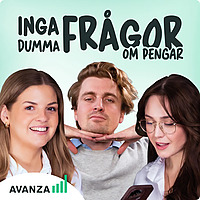 Inga dumma fr&aring;gor om pengar