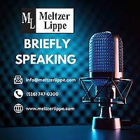 Meltzer Lippe Briefly Speaking