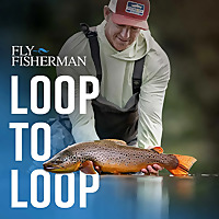 Loop to Loop