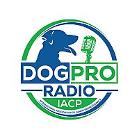 Dog Pro Radio