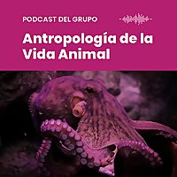 Podcast del Grupo de Investigaci&oacute;n Antropolog&iacute;a de la Vida Animal