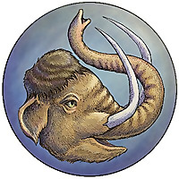 Haven Speculative Magazine