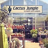 Cactus Jungle Blog