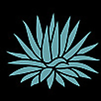 Ponderosa Cactus Blog