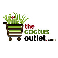 The Cactus Outlet Blog