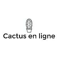 Cactus en Ligne Blog