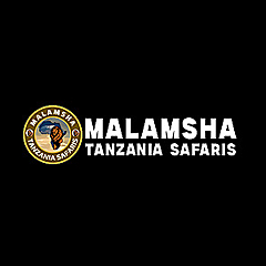 Malamsha Tanzania Safaris Blog