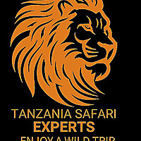 Tanzania Safari Blog