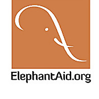 Elephant Aid International Blog