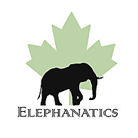 Elephanatics Blog
